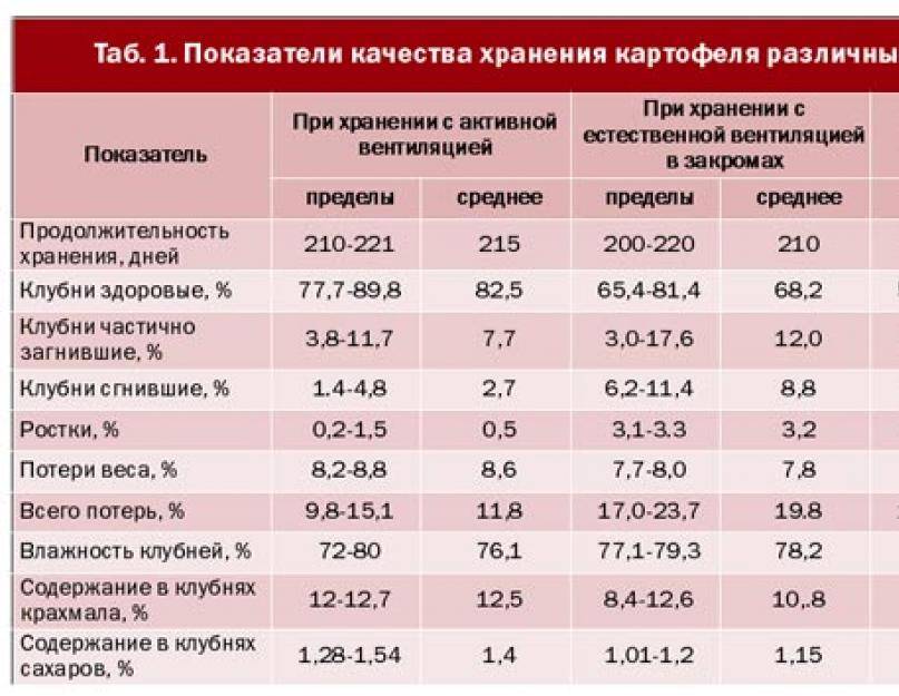 Можно ли хранить картины маслом при минусовой температуре