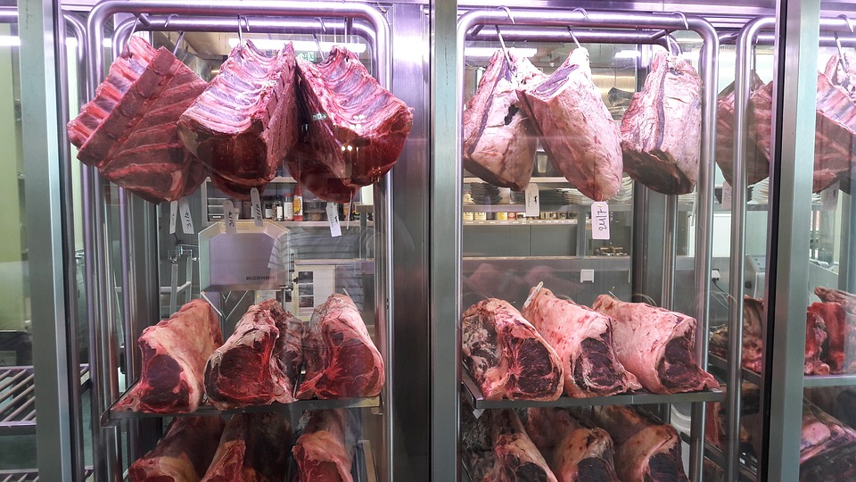 Основные требования к качеству мяса и продукции из него. контроль и экспертиза