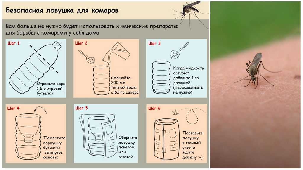 Самые эффективные методы избавления от комаров в квартире. как убить комаров в домашних условиях правильно?