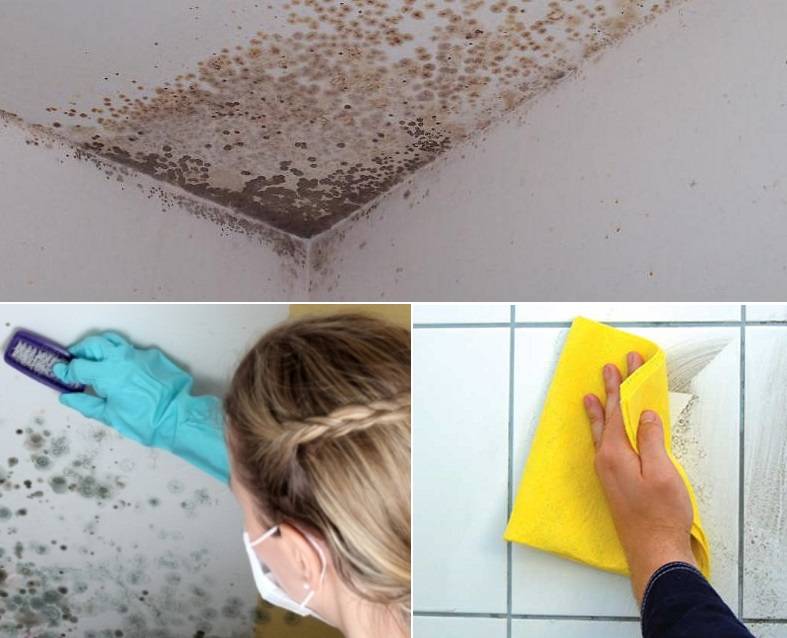 Как убрать плесень с потолка в квартире своими руками с помощью народных средств и химвеществ?