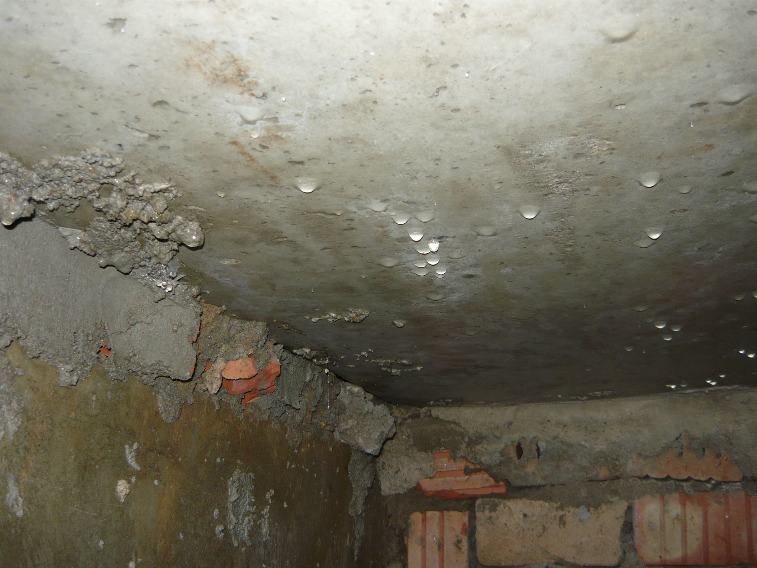 В подвале вода – что делать: грунтовые воды в подвале многоквартирного дома