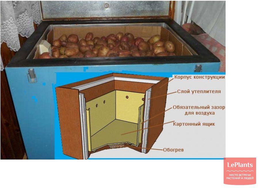 Хранение картофеля: подготовка, условия, хранение в погребе и на балконе