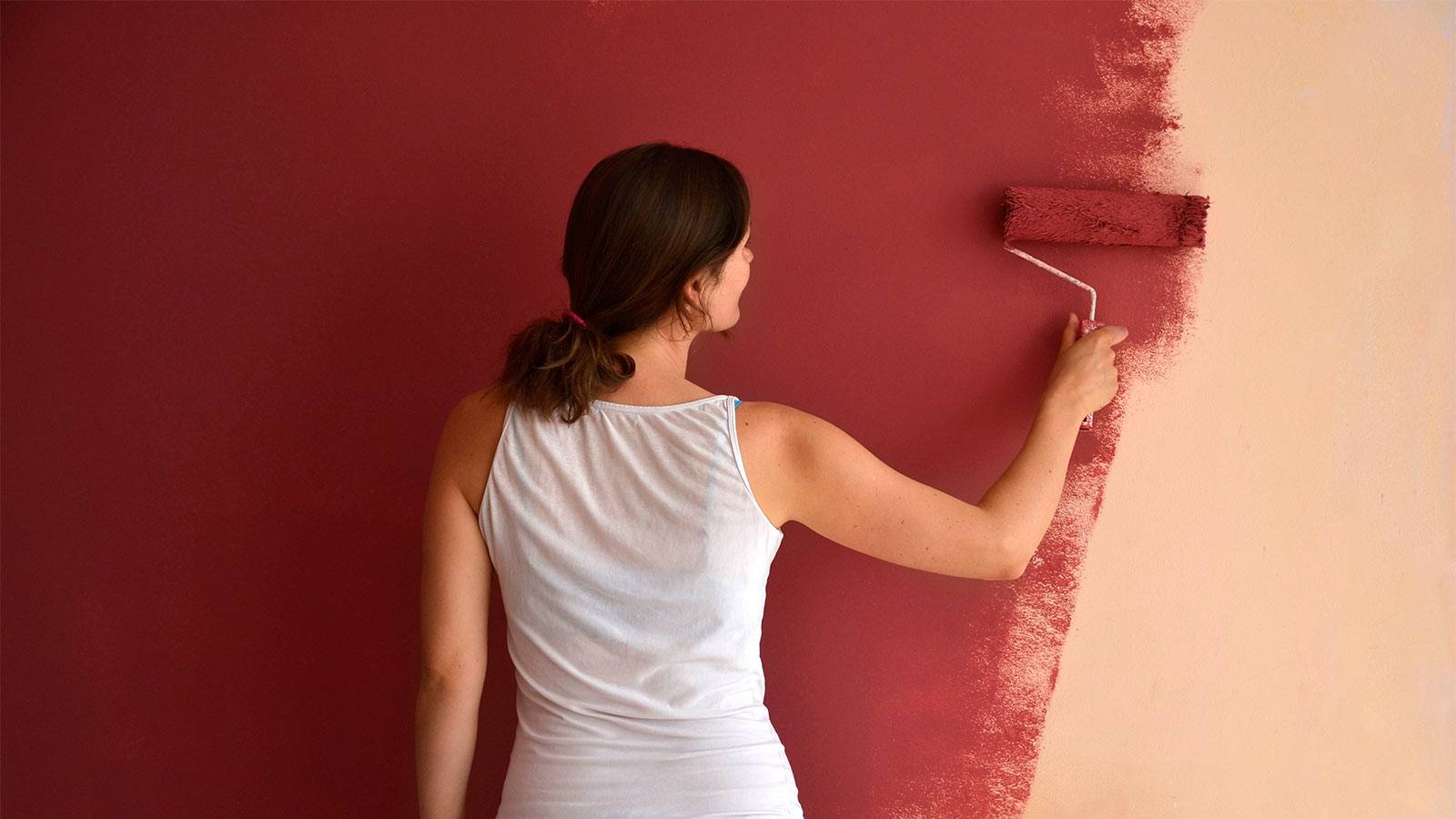 Топ-17 лучших красок для стен в квартире: выбираем лучшую