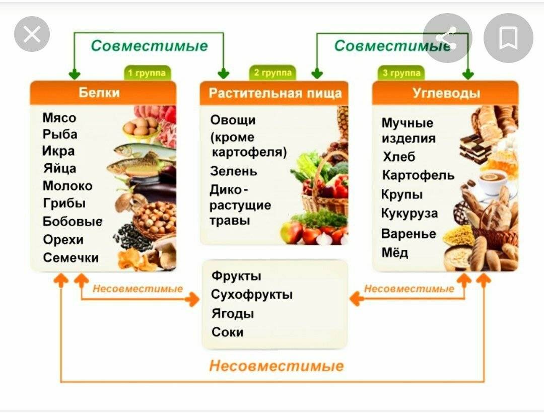 Полная таблица совместимости продуктов при раздельном питании
полная таблица совместимости продуктов при раздельном питании