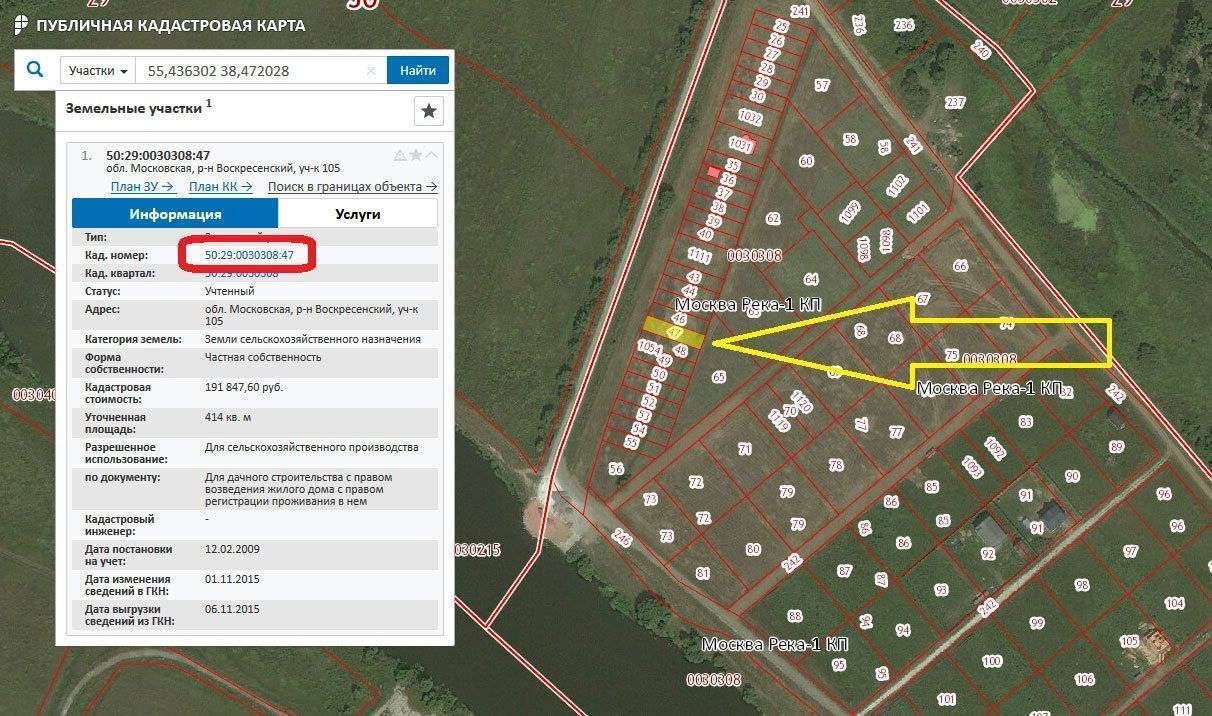 Как узнать кадастровый номер земельного участка по фамилии владельца: возможно ли это и какие есть альтернативные способы | baskal45.ru