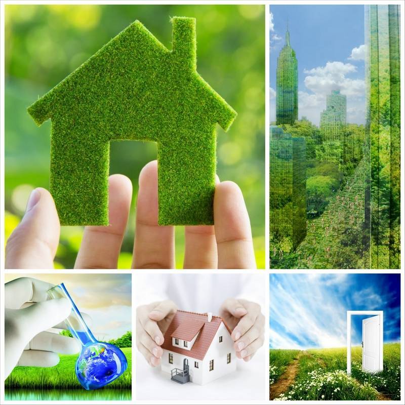Лучшие экологические дома мира – что такое экологический дом, зачем и как построить экодом