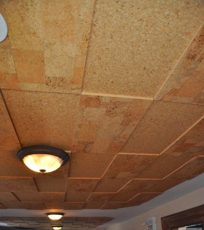 Пробковый потолок, особенности пробковых панелей для потолка