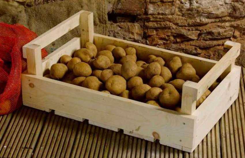 Как правильно хранить картошку в квартире или погребе в домашних условиях