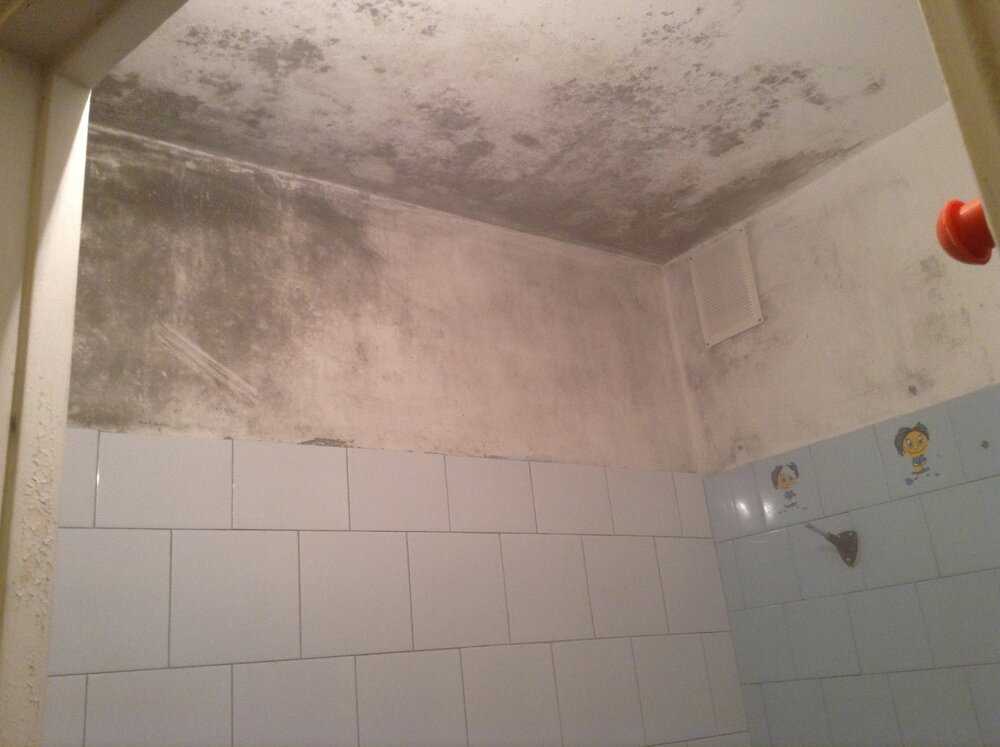 Отделка потолка в ванной комнате: краска и побелка