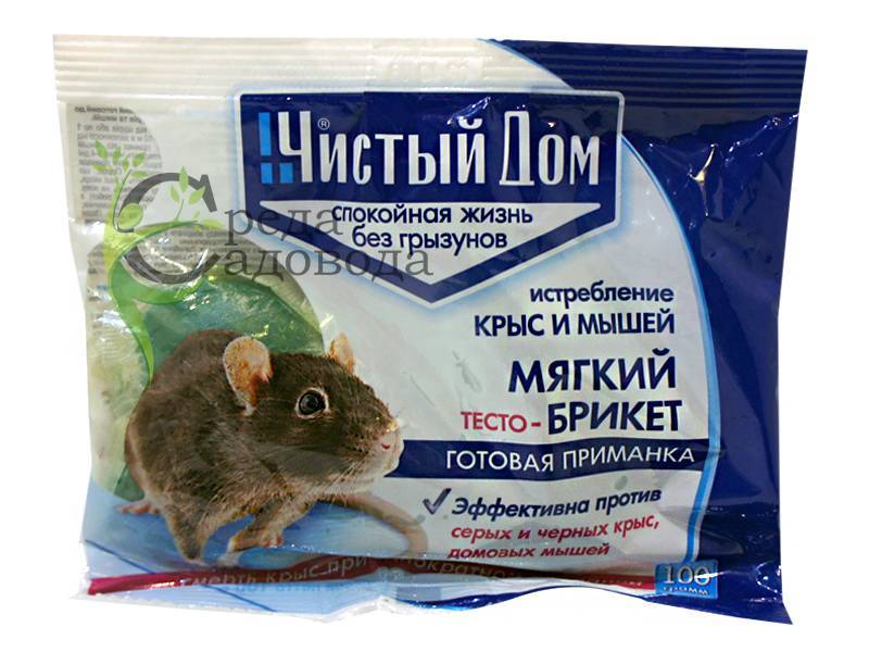 Мыши в погребе грызут картошку: как избавиться, как уберечь в подполе от грызунов и крыс, можно ли есть погрызанные клубни, как сохранить и защитить в подвале