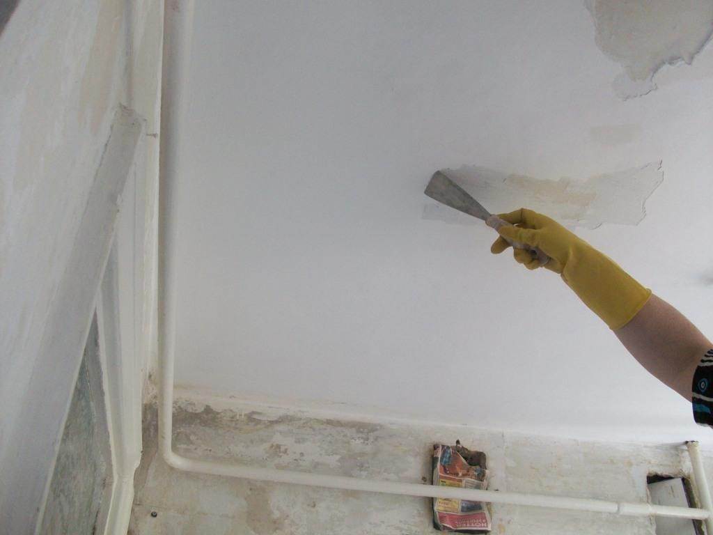 Как помыть потолок покрашенный водоэмульсионной краской – правила очистки
