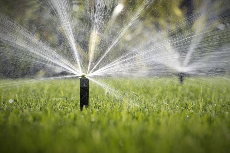 Дождеватель для полива: создание микроклимата для растений
