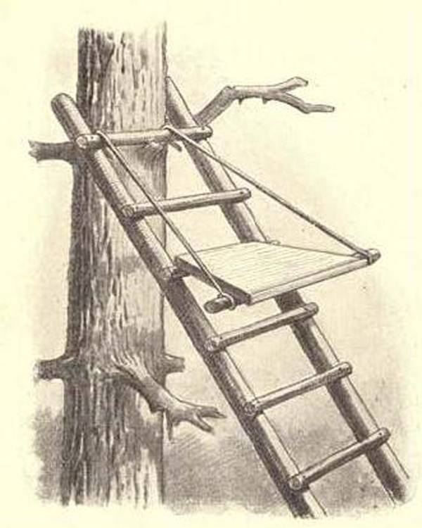 Как сделать вышку на дереве. нестандартные способы строительства охотничьих вышек