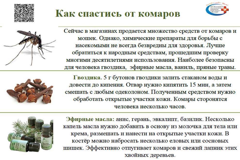Как избавиться от комаров в домашних условиях