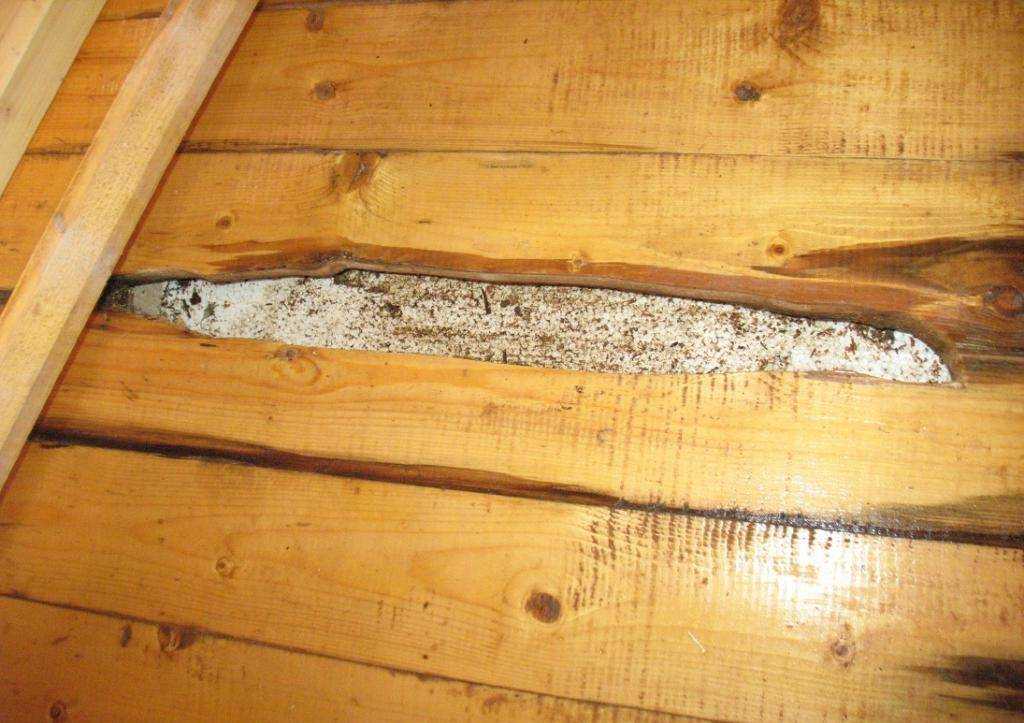 Как заделать трещины в деревянном брусе без следа