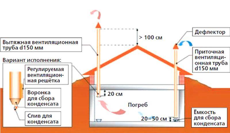 Как высушить погреб от сырости | самоделки на все случаи жизни - notperfect.ru