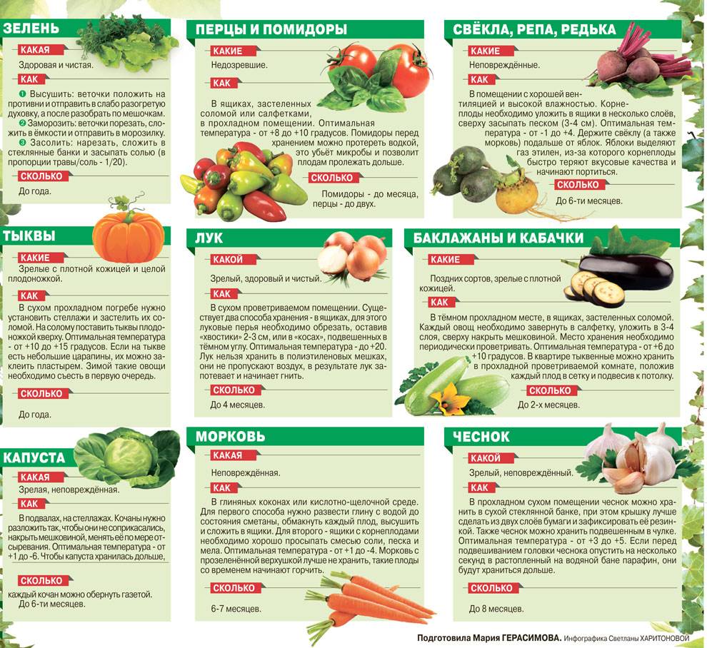 Как правильно хранить овощи, где лучше и сколько, правила хранения