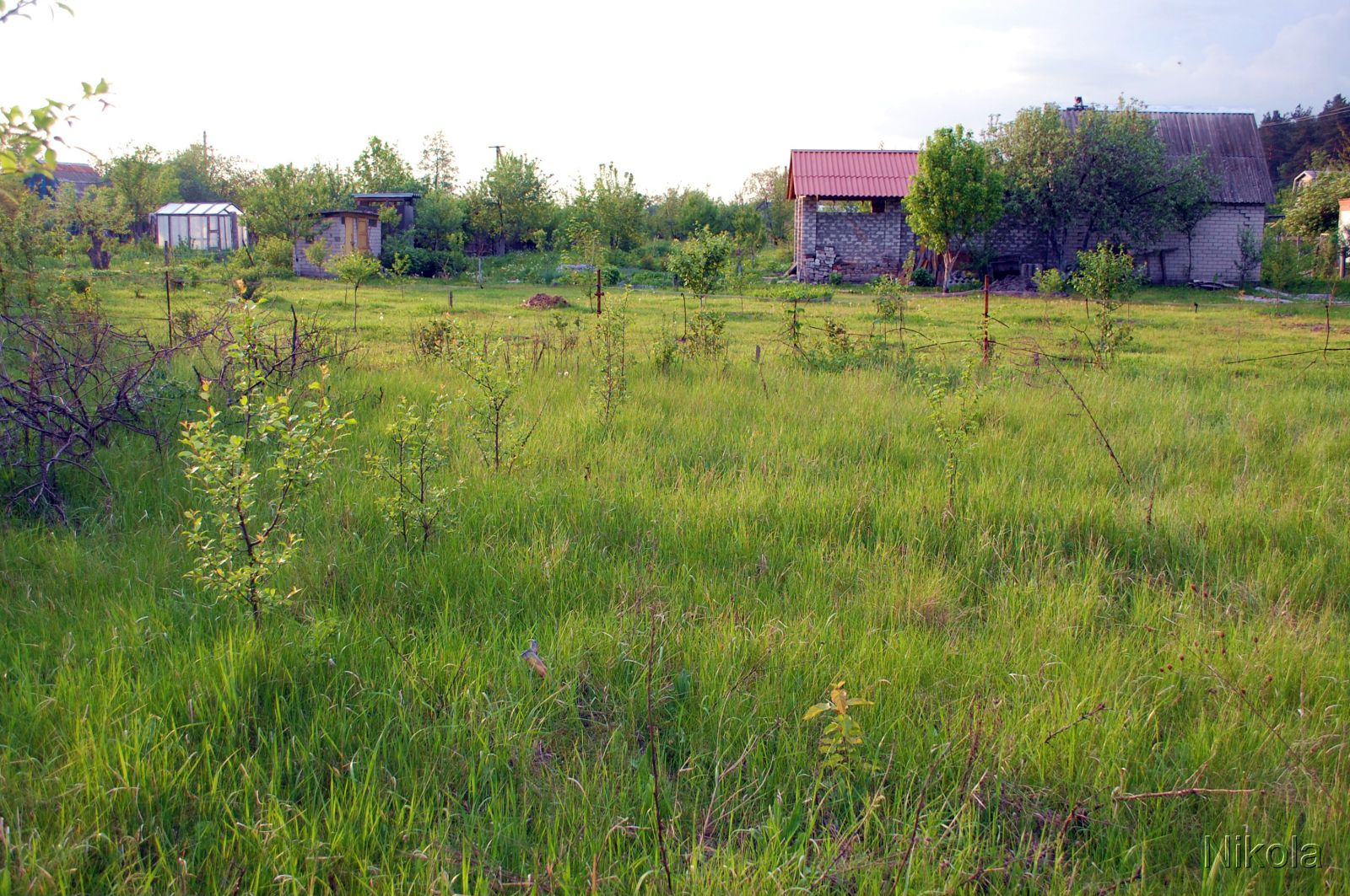 Как оформить в собственность бесхозный, брошенный земельный участок?