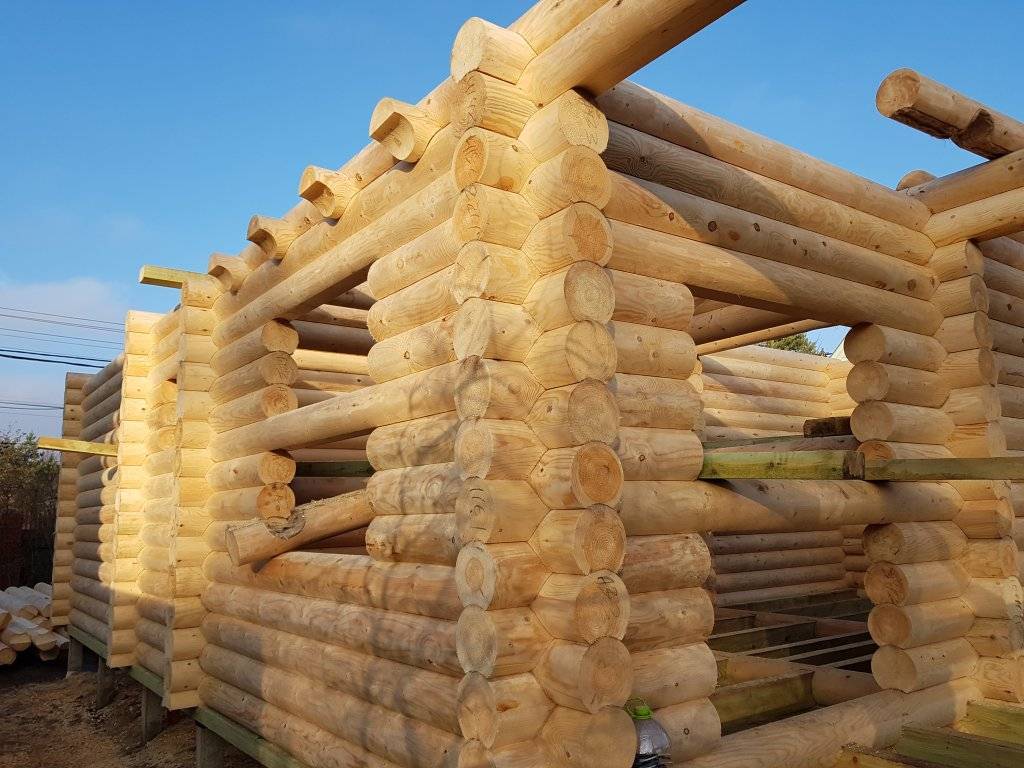Технология строительства деревянных домов из бревна и бруса
