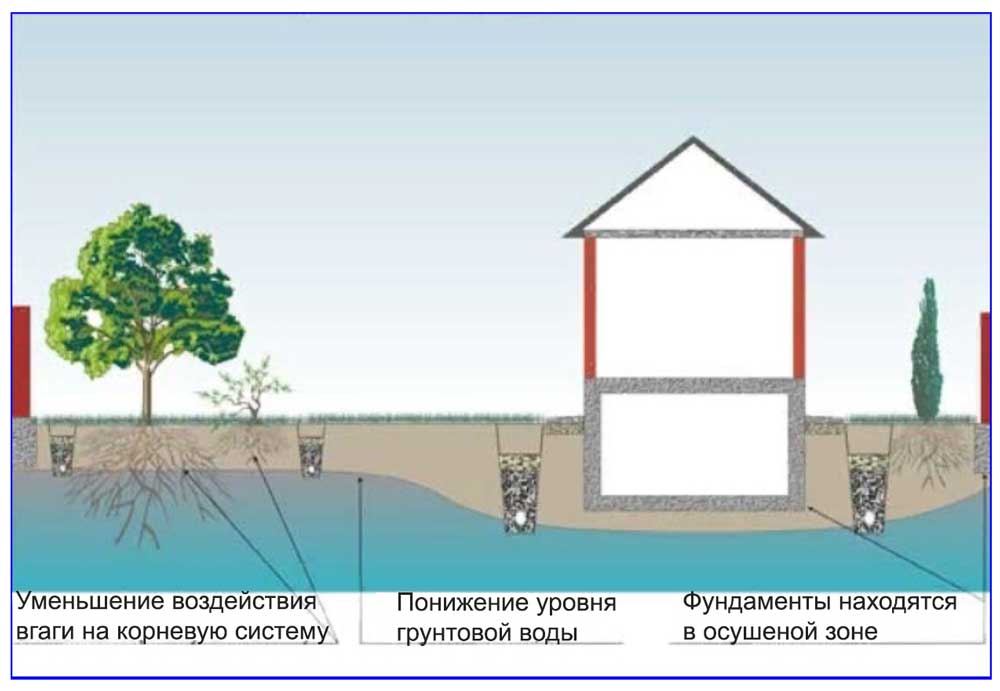Глубина залегания грунтовых вод: методы определения уровня грунтовых вод