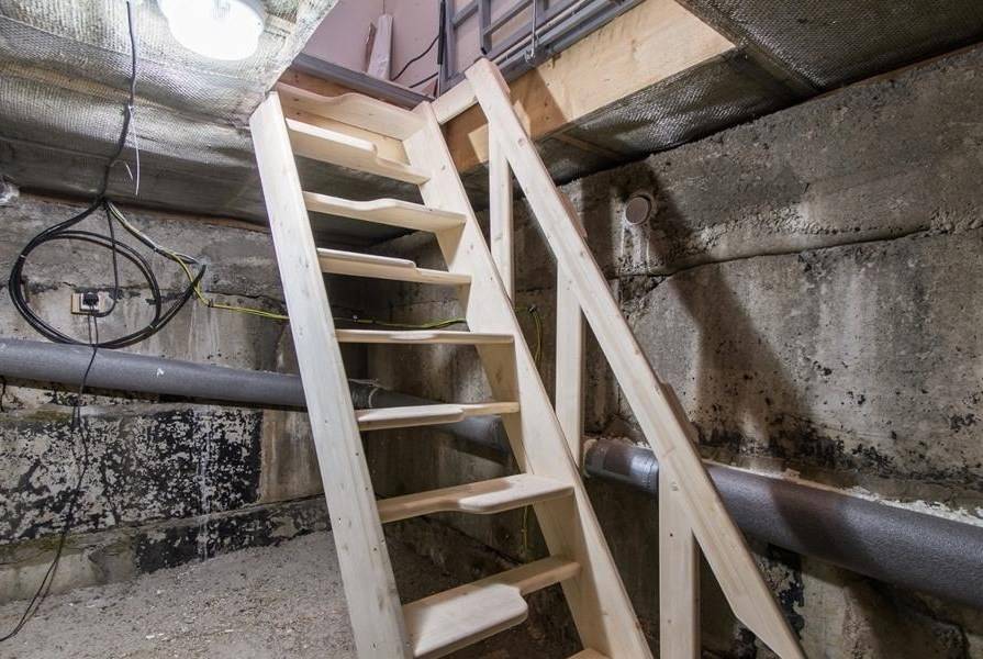 Строим лестницу в подвал в частном доме: видео, схема и фото