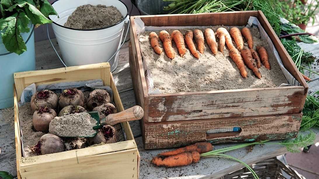 Как построить погреб для хранения овощей своими руками - загородный