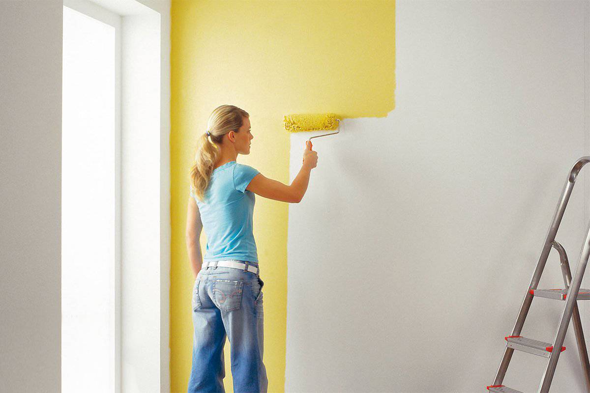 Какую краску выбрать для окраски стен в квартире или доме